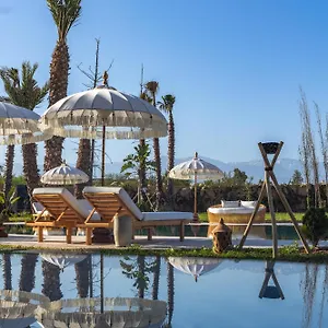 Yin & Marrakesh